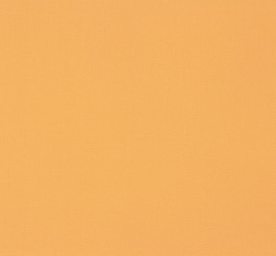 Tapeten-Musterartikel-57214