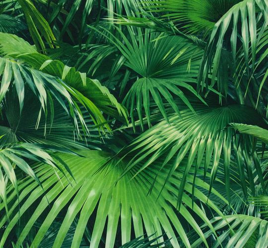 Tapeten Musterartikel 524901