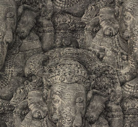 Tapeten Musterartikel 525502