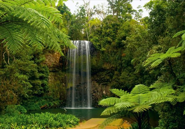 Fototapeten Tapete Wasser Wasserfall Wald Natur Steine | Papier Vlies Des-3