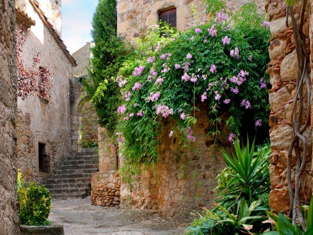 Fototapeten Tapete Spanien Gasse Innenhof Natur | Papier Vlies Des-14