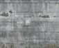 Vlies Fototapeten Beton-Optik Betonwand Fotodruck 3 Designs 445510
