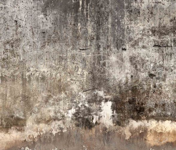Artikelbild Digitaldruck Foto-Vliestapete Kellerwand