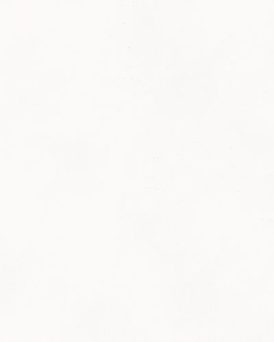 Tapeten Musterartikel 31848