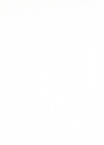 Tapeten Musterartikel 10171-01