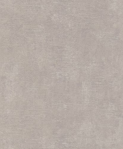 Artikelbild Vliestapete Rasch Andy Wand Beton Flitter taupe 649949