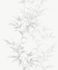 Vliestapete Floral Blätter weiß grau Hailey 82221 1