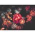 Artikelbild Fototapete Vlies Blumen Rosen Floral orange rot schwarz 2