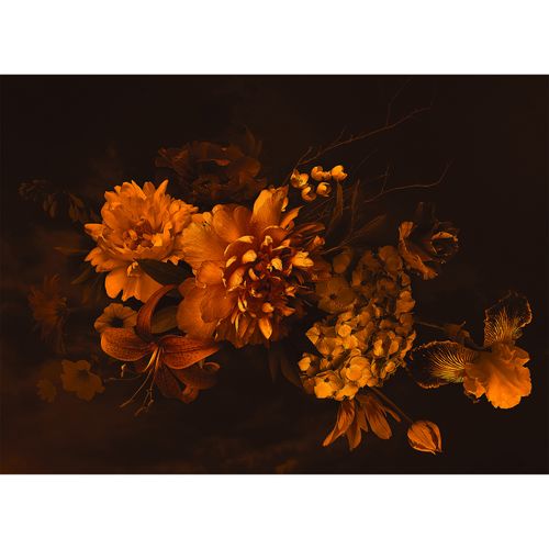 Artikelbild Fototapete Vlies Blüten Blumen Floral orange schwarz