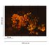 Produktbild Fototapete Vlies Blüten Blumen Floral orange schwarz 3