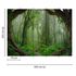 Artikelansicht Fototapete Vlies Wald Wurzeln Tropen grün braun 3