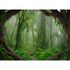 Artikelbild Fototapete Vlies Wald Wurzeln Tropen grün braun 2