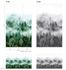 Artikelbild Fototapete Vlies Wald Bäume Nebel grün weiß 47267 3