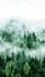 Produktbild Fototapete Vlies Wald Bäume Nebel grün weiß 47267 2