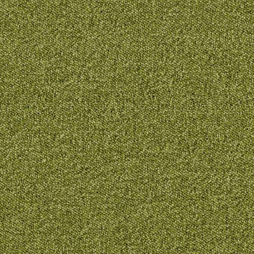 Artikelbild-Maxima_18