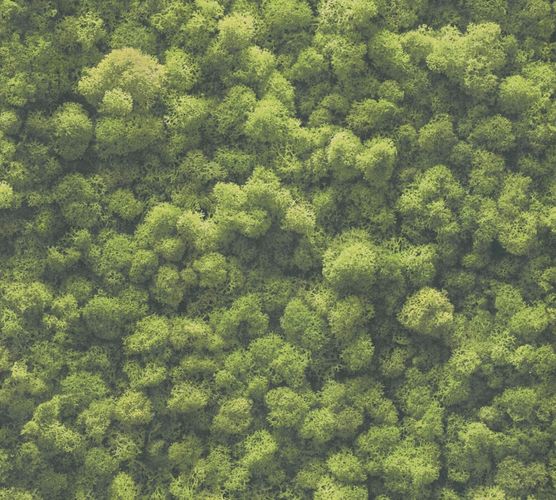 Tapeten Musterartikel 39405-1