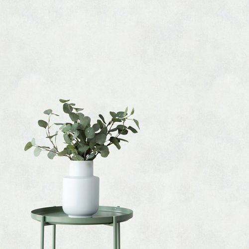 Vliestapete Uni Betonoptik Modern Weiß Creme 82470