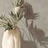 Vliestapete Struktur Uni Used-Look Beige Grau 35550 3