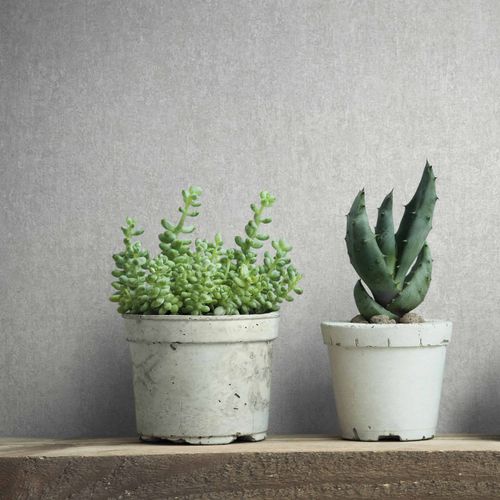 Vliestapete Betonoptik Shabby Industrial Grau 35137