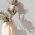 Vliestapete Uni Modern Struktur Beige Creme 82480 3