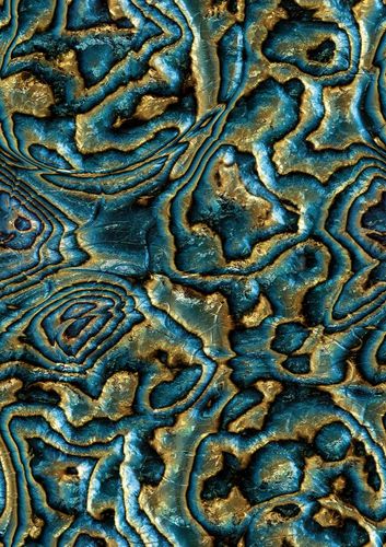 Tapeten Musterartikel 81693