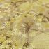 Vliestapete Blätter Floral Beige Gelb Braun 10506-20 Detail 3