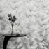 Tapete Guido Maria Kretschmer Floral Silber Metallic Raum 5