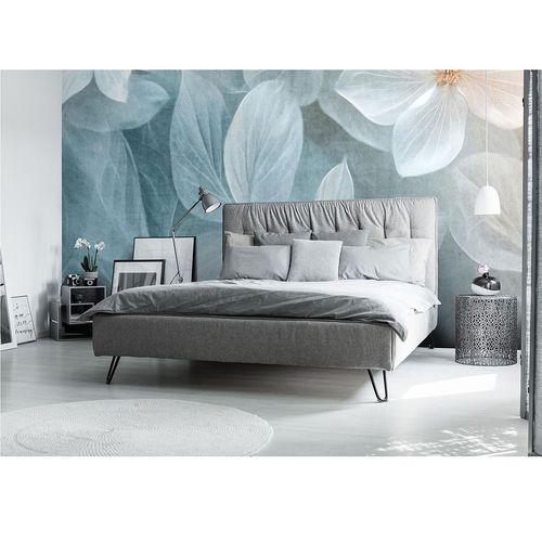 Guido Maria Kretschmer Fototapete Floral Blau Creme Raum