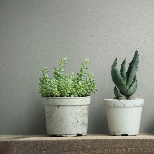 Vliestapete Einfarbig Struktur Modern Hellgrau 82515 Zimmer