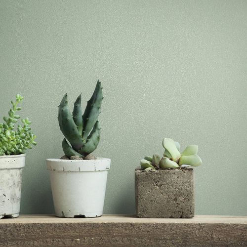 Vliestapete Einfarbig Struktur Modern Mint Grün 82522 Zimmer