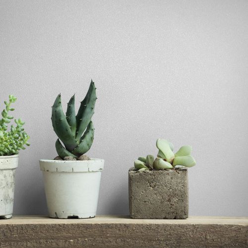 Vliestapete Einfarbig Struktur Modern Weiß 82529 Zimmer