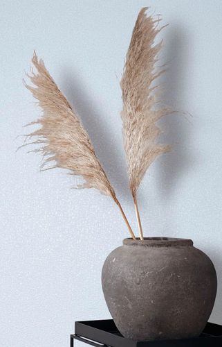 Tapete Papis Loveday Uni Putzoptik Hellblau 35828 Raum