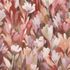 Vliestapete Floral Blumen Rot Rosa Braun 10586-06 4