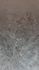 Fototapete Blattmuster Floral Braun Grau 22101-07-01 4