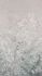 Fototapete Blattmuster Floral Taupe Grau 22102-07-01 4